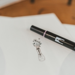 Fea Design Zebraschaf Workshop 25.4.25-